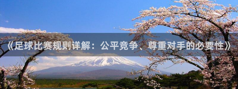 《足球比赛规则详解:公平竞争、尊重对手的必要性》