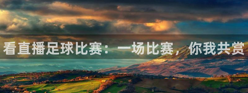 看直播足球比赛:一场比赛,你我共赏